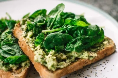If you love avocados, you’ll love these recipes!