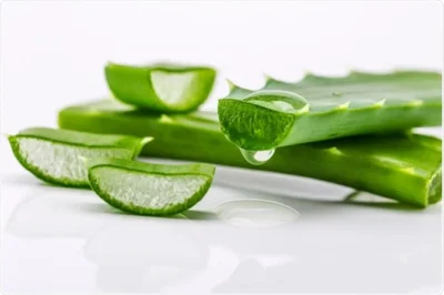 5 ways to incorporate aloe vera into your routine for better overall health