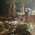 R.K. Puram’s Garbage Crisis: A Call to Restore the Dignity of India’s Capital