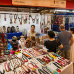 Shilp Didis of the North East: Weaving Tradition, Enterprise and New Hope