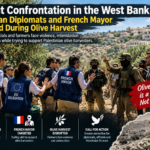 West Bank Olive Harvest Under Threat: Settler Violence Against Palestinian Farmers Sparks Global Outcry
